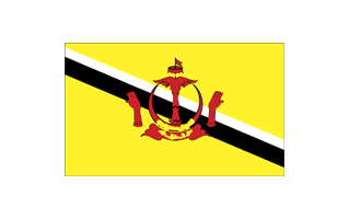 Brunei Flag PNG