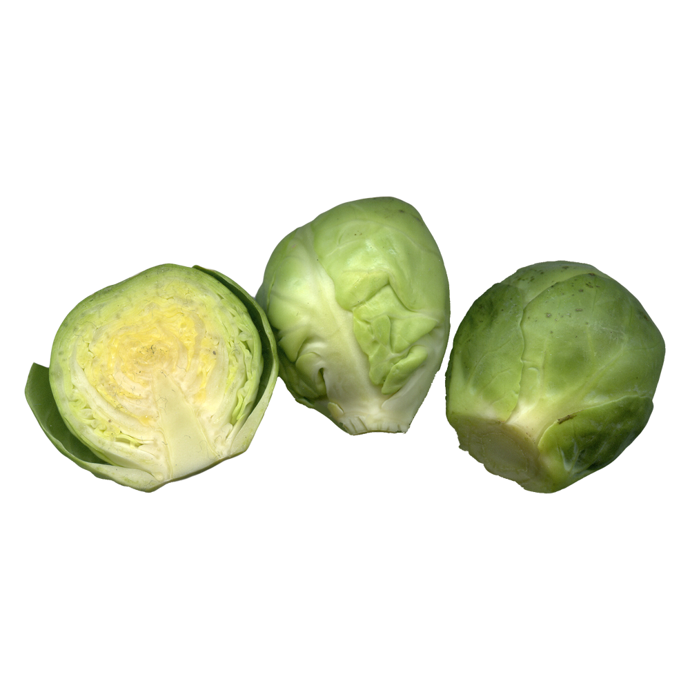 Brussels Sprout  Transparent Clipart