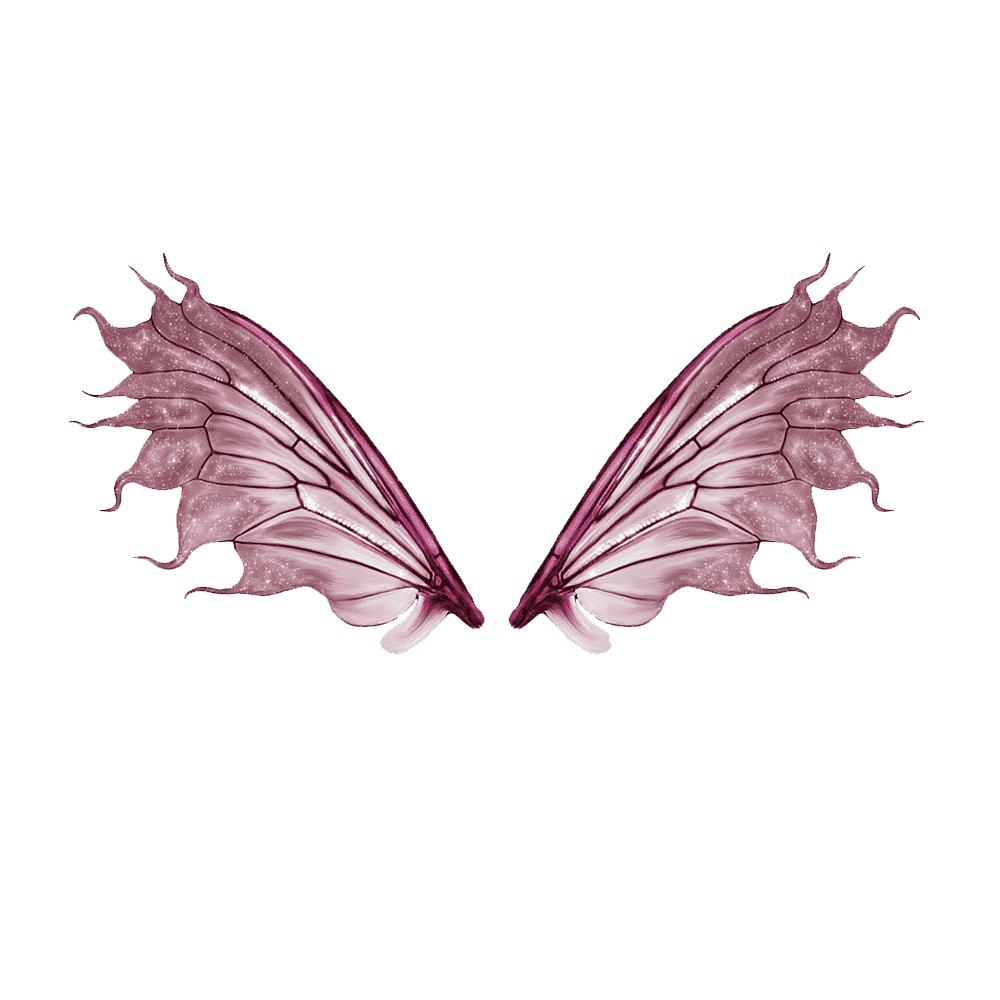 Butterfly Wings Transparent Picture