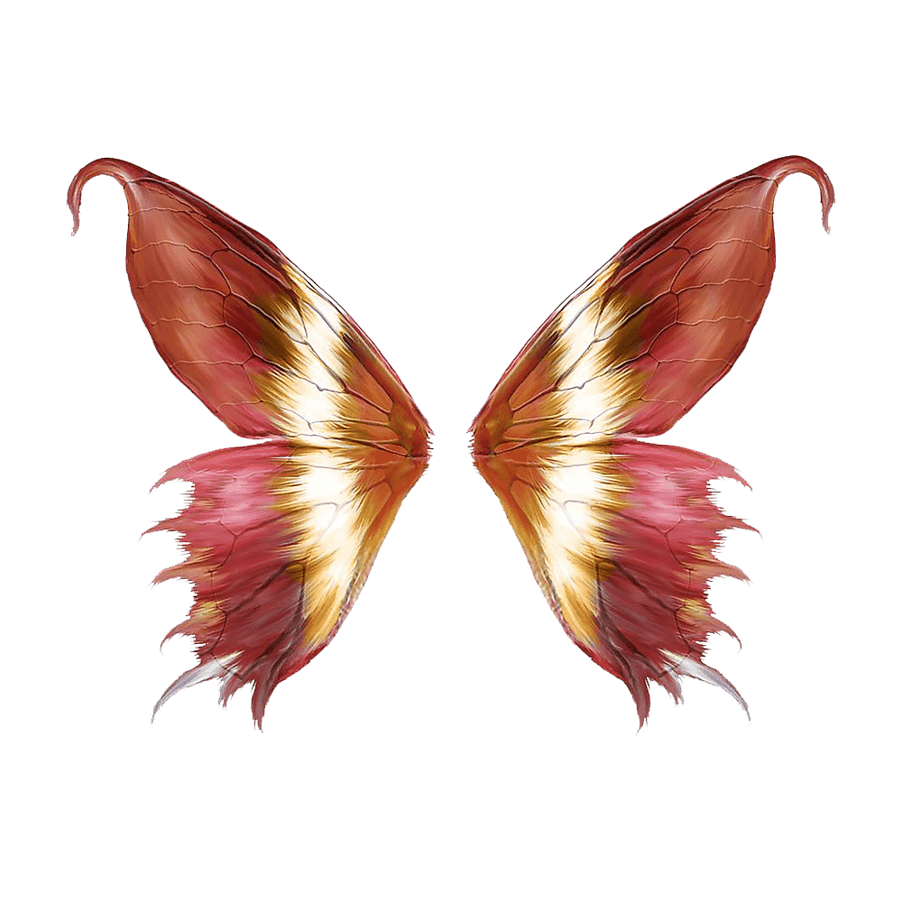Butterfly Wings Transparent Clipart