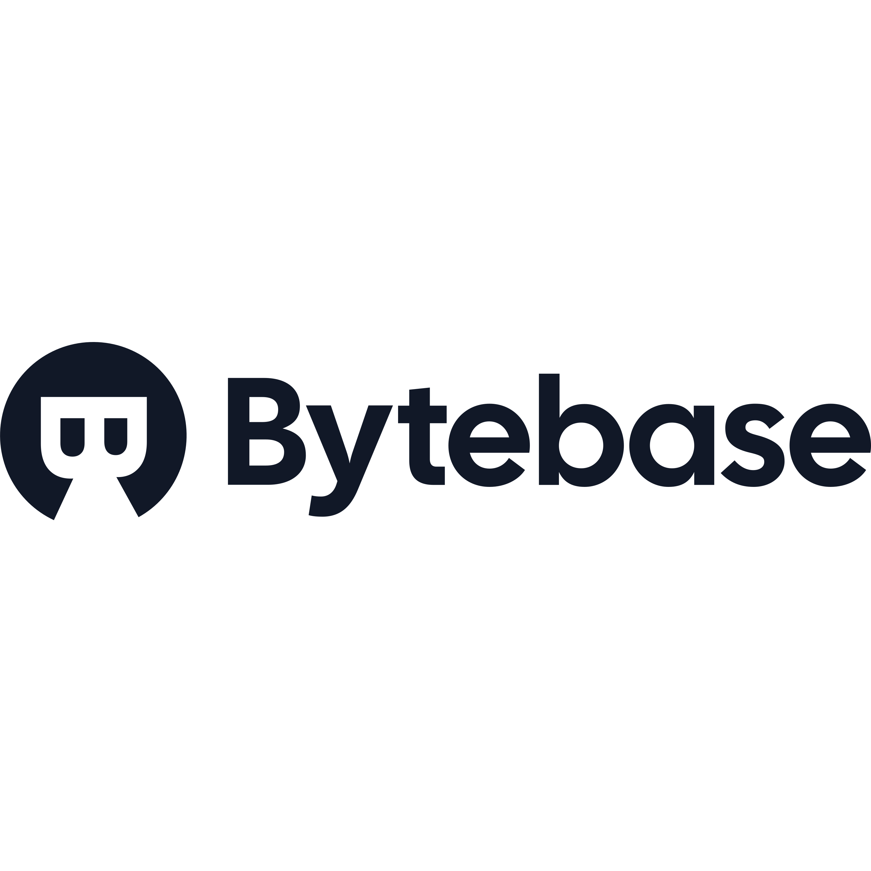 Bytebase Logo  Transparent Image