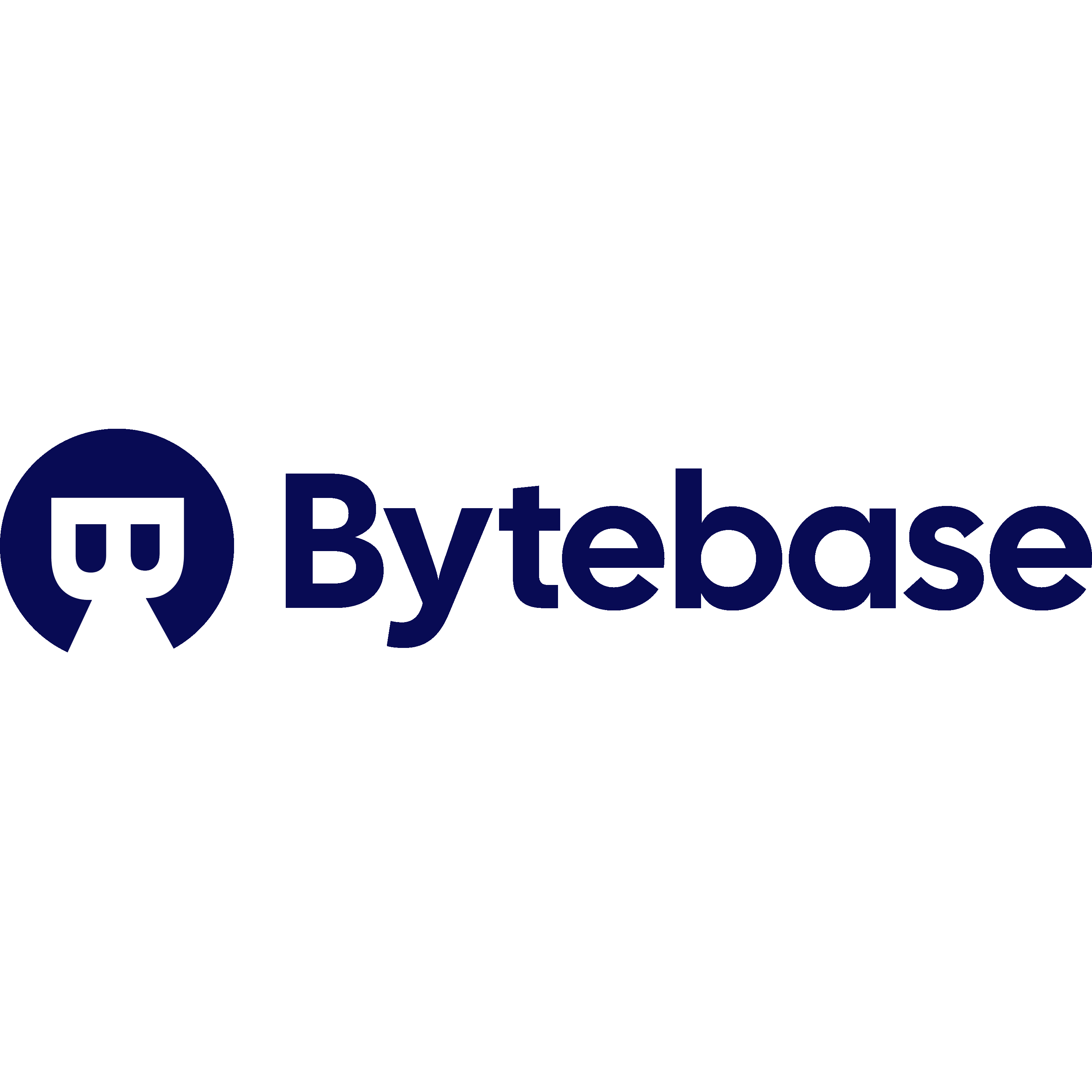 Bytebase Logo  Transparent Photo