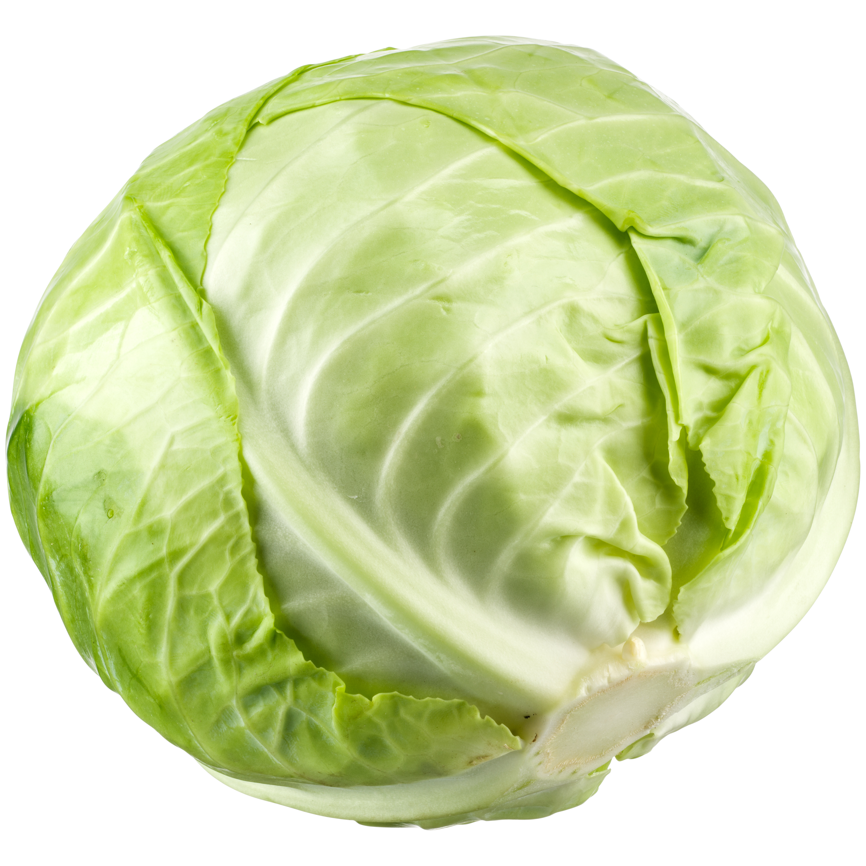 Cabbage Transparent Image