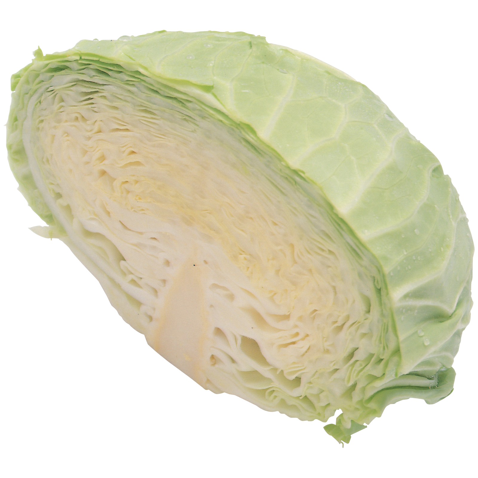 Cabbage Transparent Picture