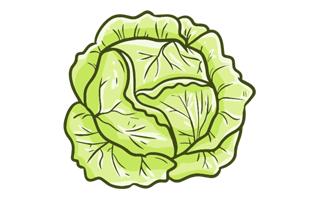 Cabbage Free Sticker PNG