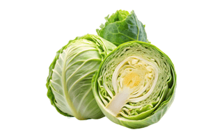 Cabbage Half Sticker PNG