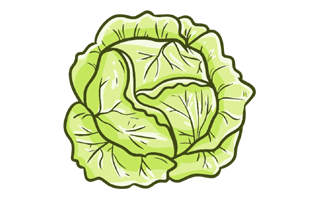 Cabbage Sticker PNG