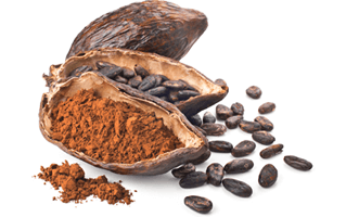 Cacao PNG