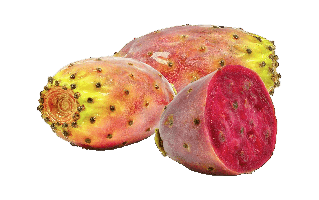 Cactus Pear PNG