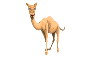 Camel Cartoon PNG