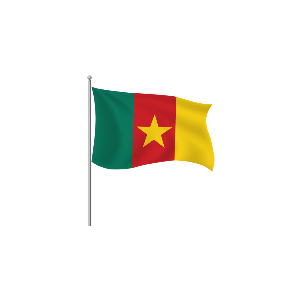 Cameroon Flag Transparent Picture
