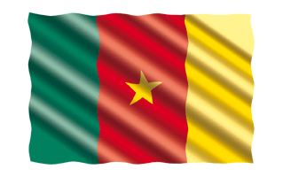 Cameroon Flag PNG