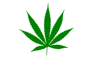 Cannabi PNG