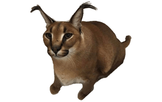 Caracal Cat PNG