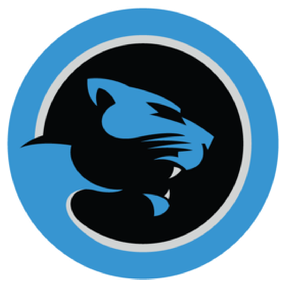 Carolina Panthers Transparent Clipart