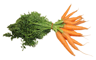 Carrots PNG