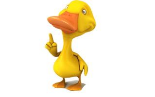 Cartoon Duck PNG