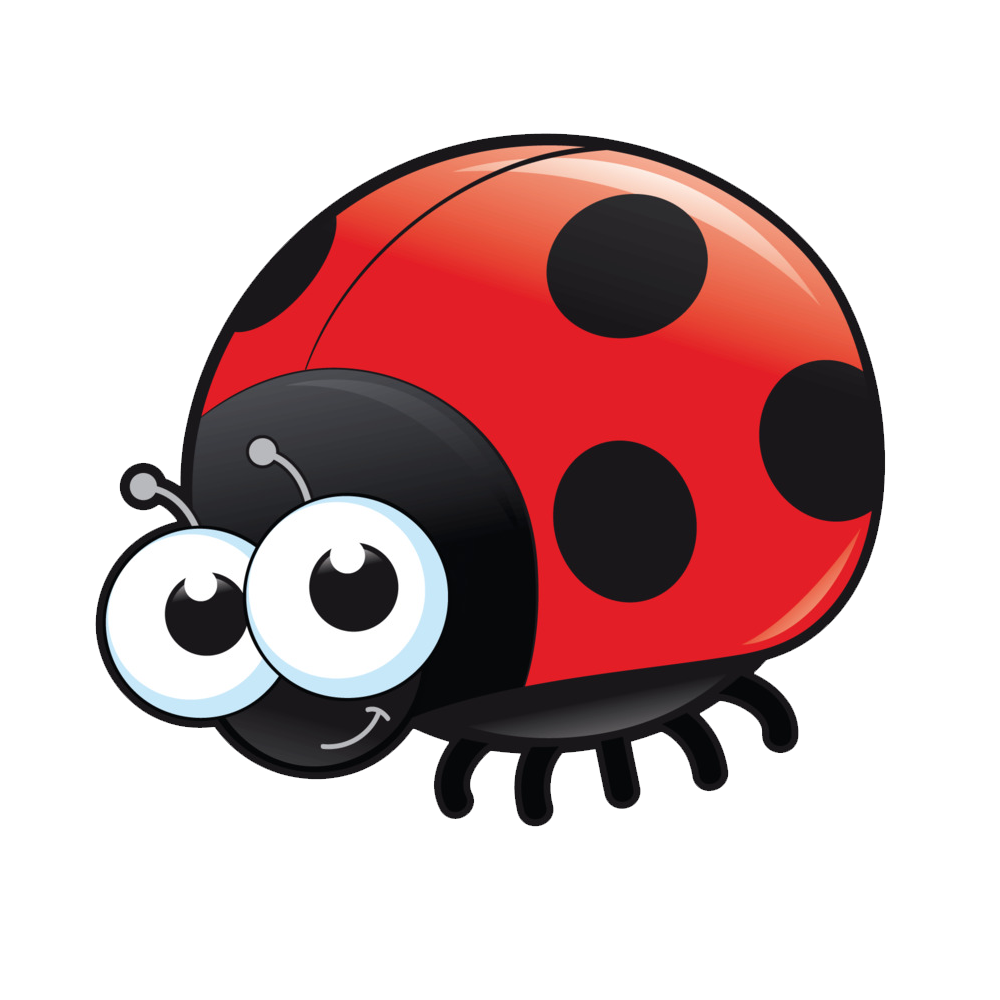 Cartoon Ladybug  Transparent Clipart