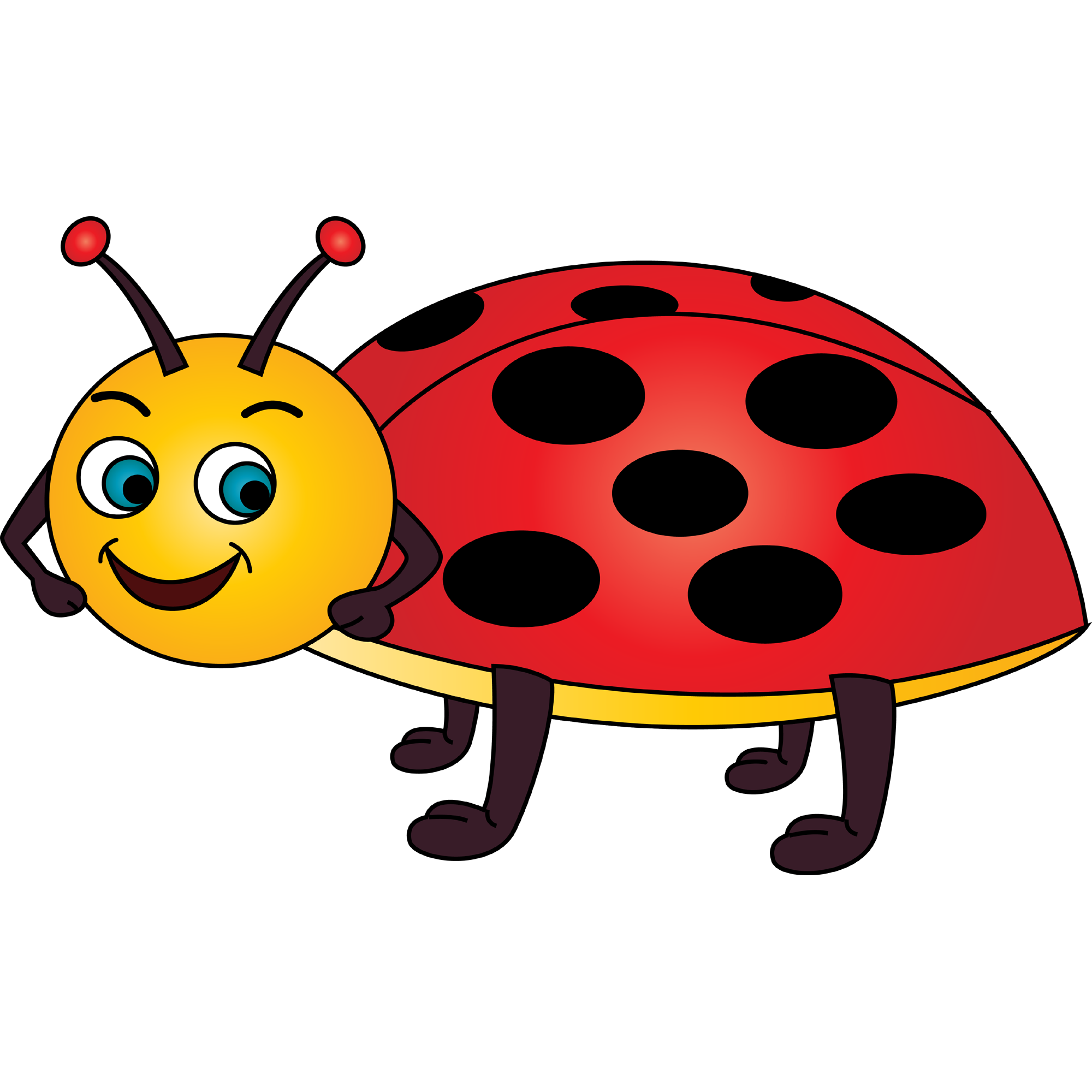 Cartoon Ladybug  Transparent Gallery