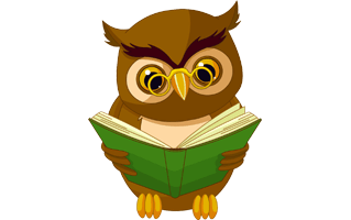 Cartoon Owl PNG