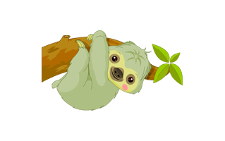 Cartoon Sloth PNG