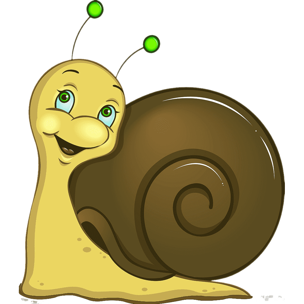 Cartoon Snail  Transparent Image