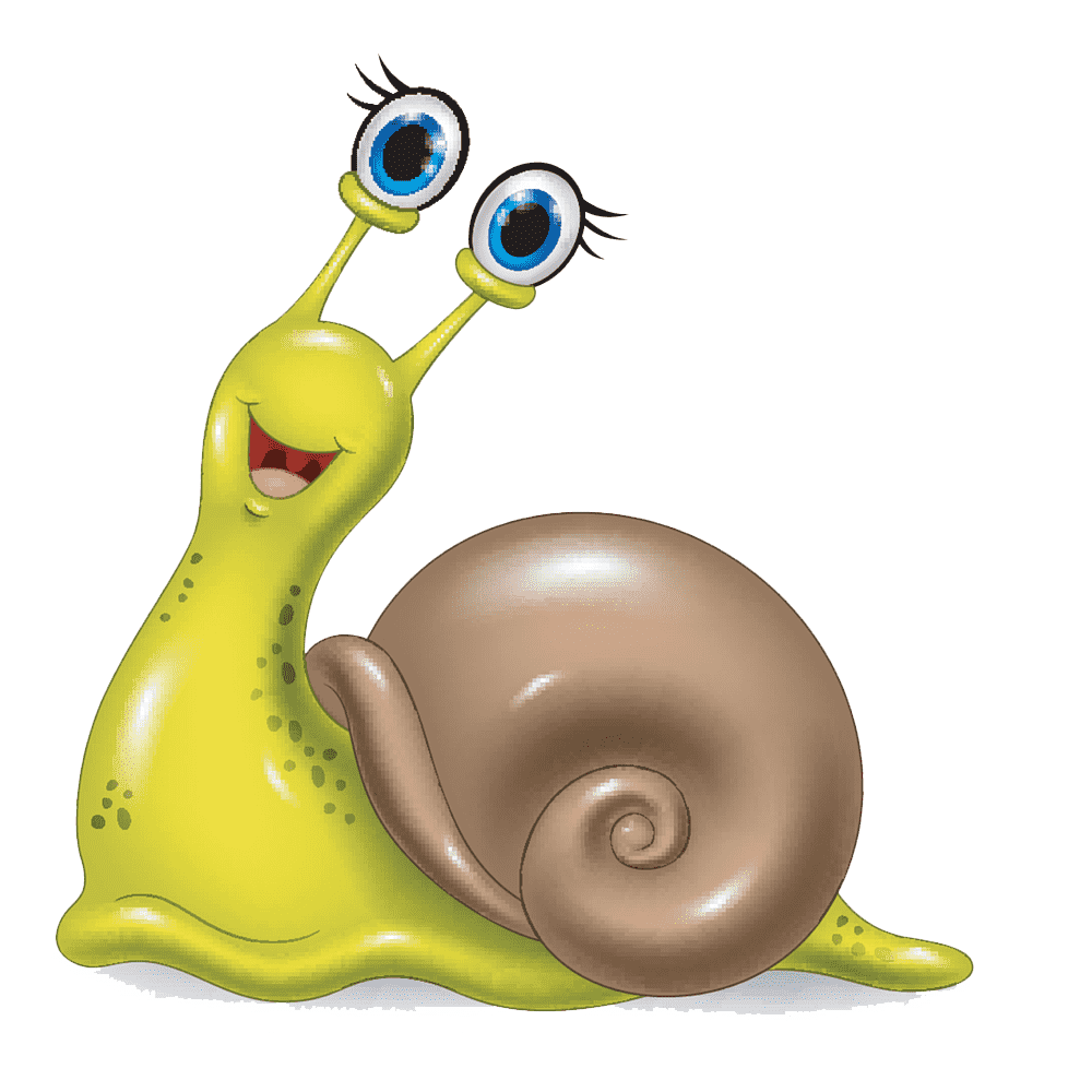 Cartoon Snail  Transparent Photo