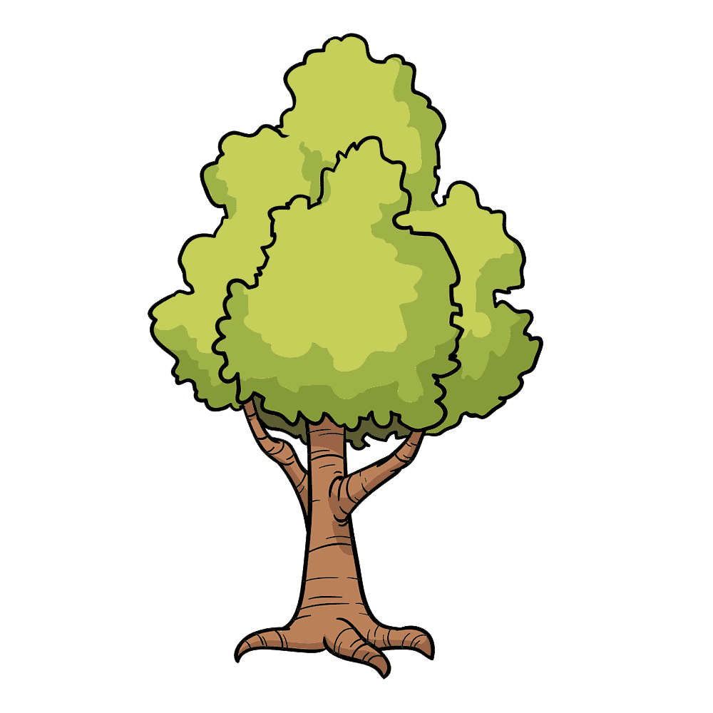 Cartoon Tree  Transparent Photo