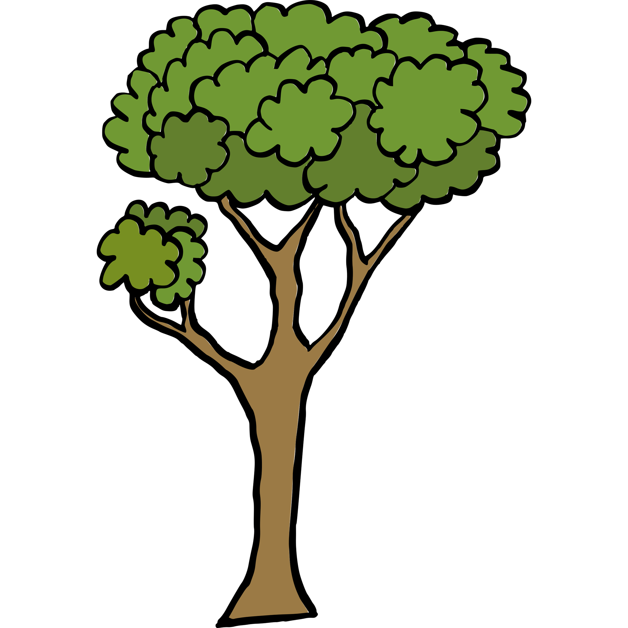 Cartoon Tree  Transparent Clipart