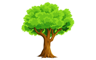 Cartoon Tree PNG