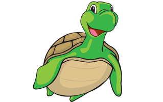 Cartoon Turtle PNG