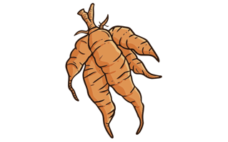 Cassava Root Free Sticker PNG