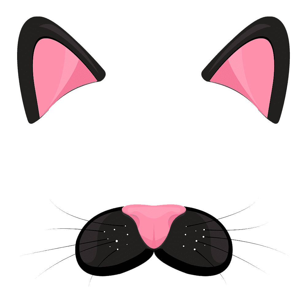 Cat Ear Transparent Picture