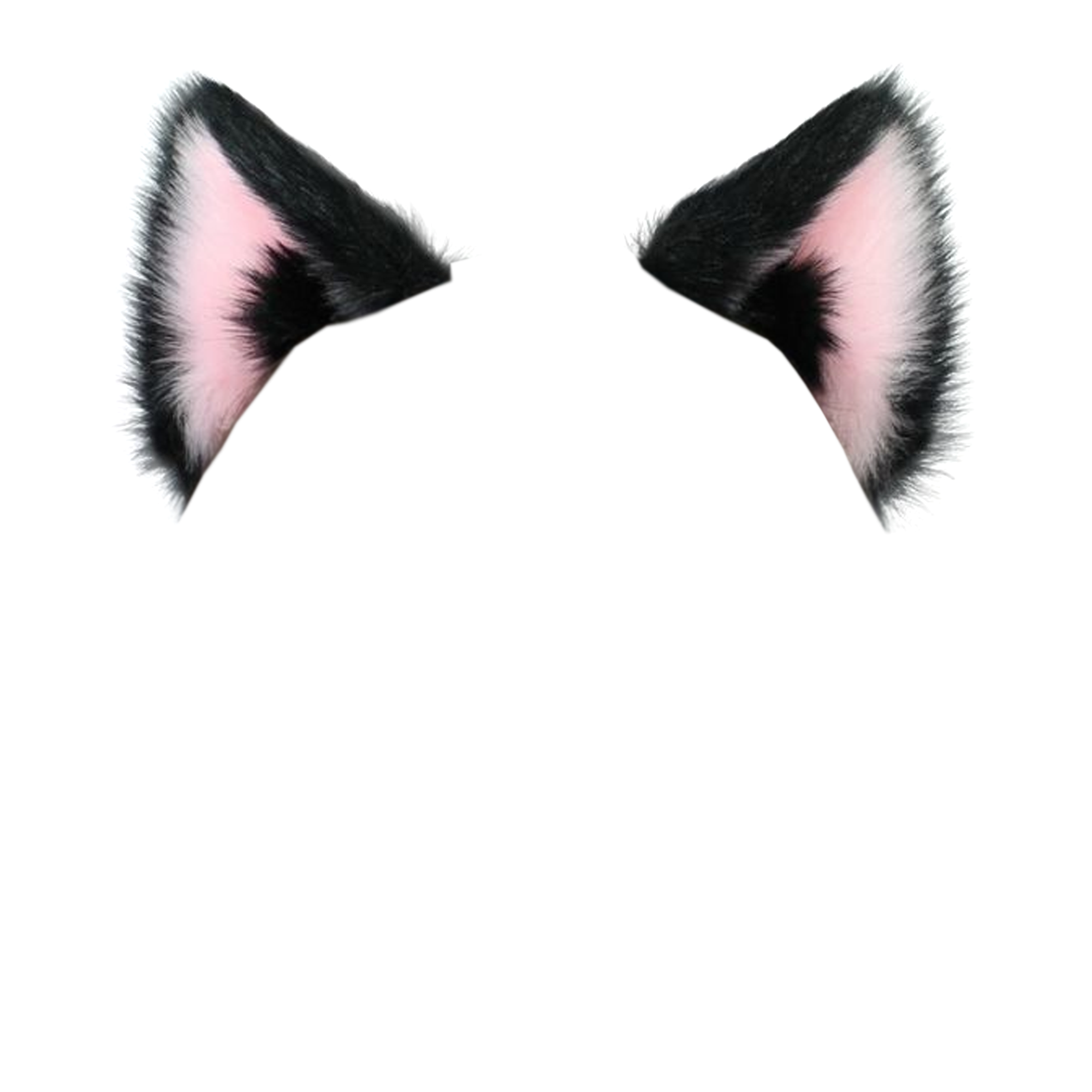 Cat Ear  Transparent Clipart