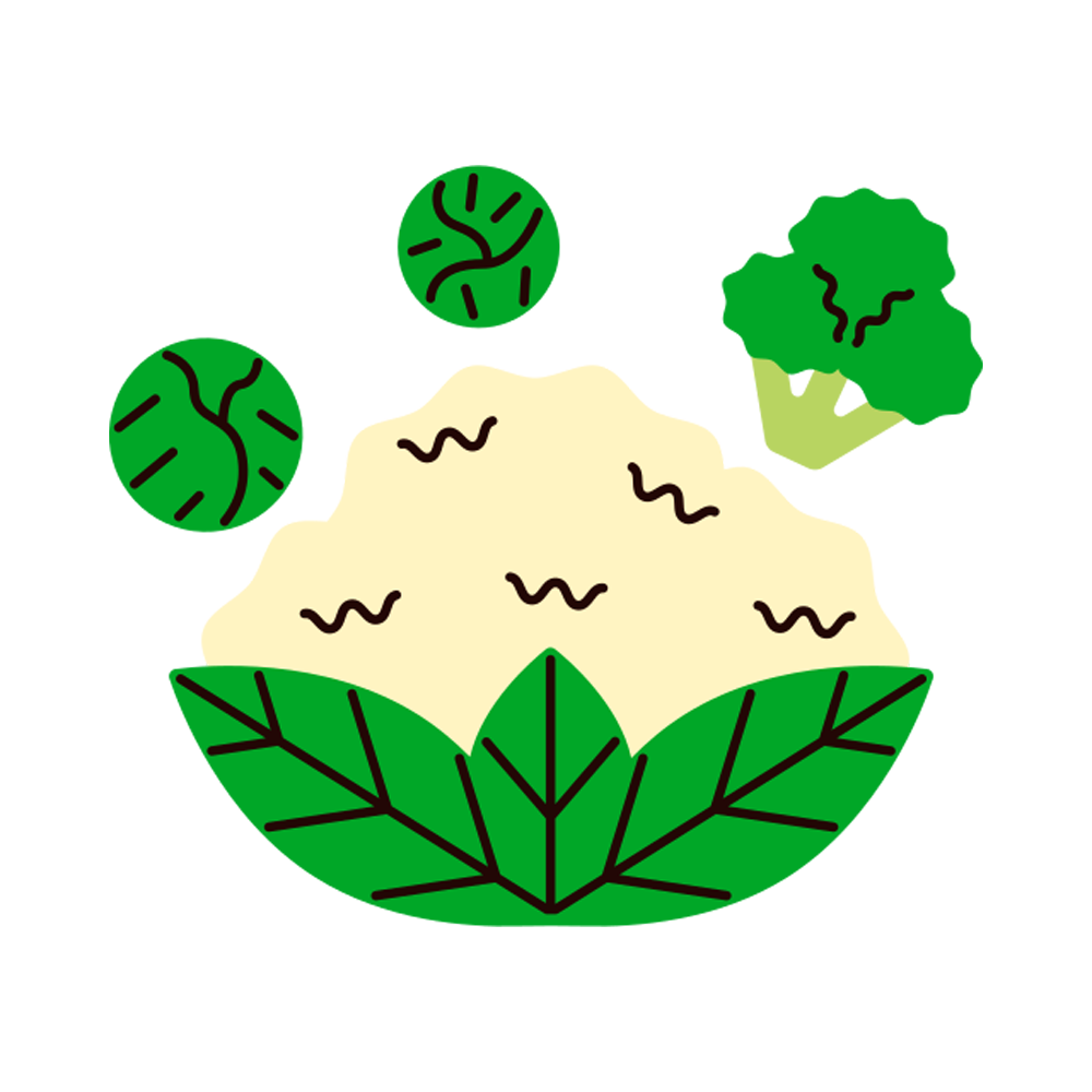 Cauliflower Free Sticker Transparent Picture