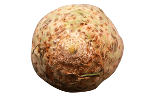 Celeriac PNG