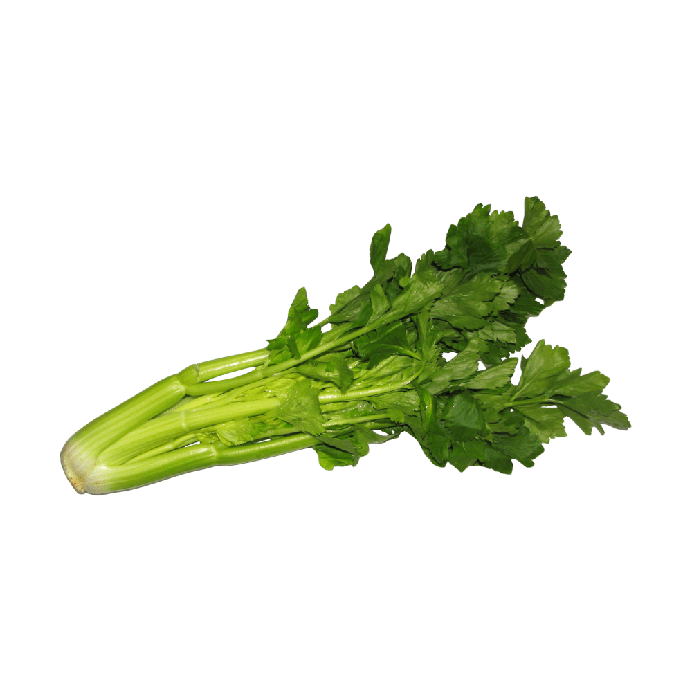 Celery  Transparent Photo