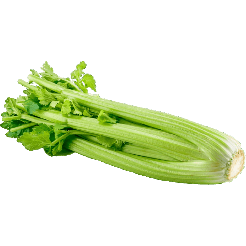 Celery  Transparent Picture