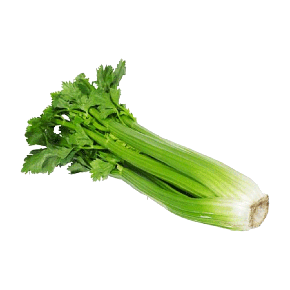 Celery  Transparent Clipart