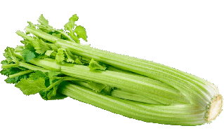 Celery PNG