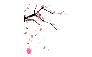 Cherry Blossom Petals PNG