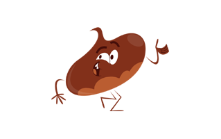 Chestnut Sticker PNG