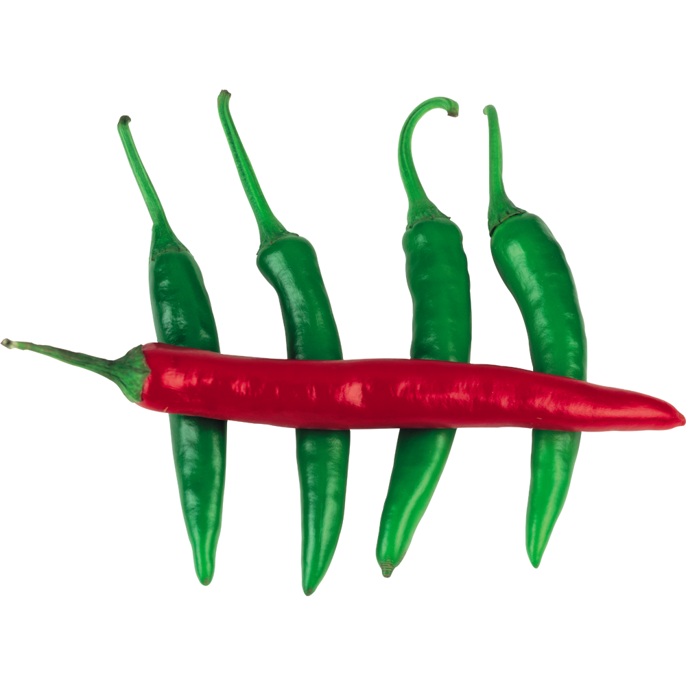 Chili Pepper  Transparent Clipart