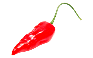 Chili Pepper PNG