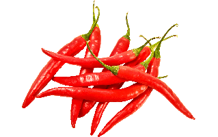 Chilli Pepper PNG