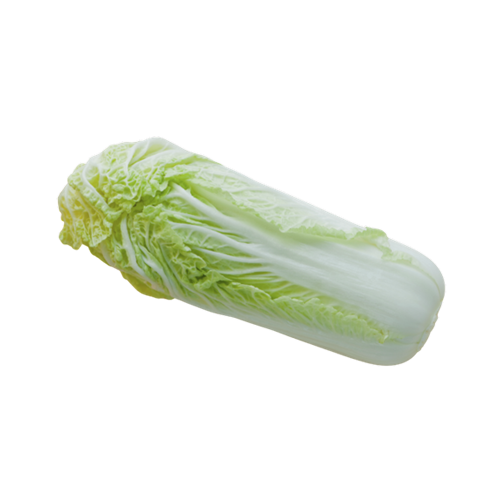Chinese Cabbage  Transparent Clipart
