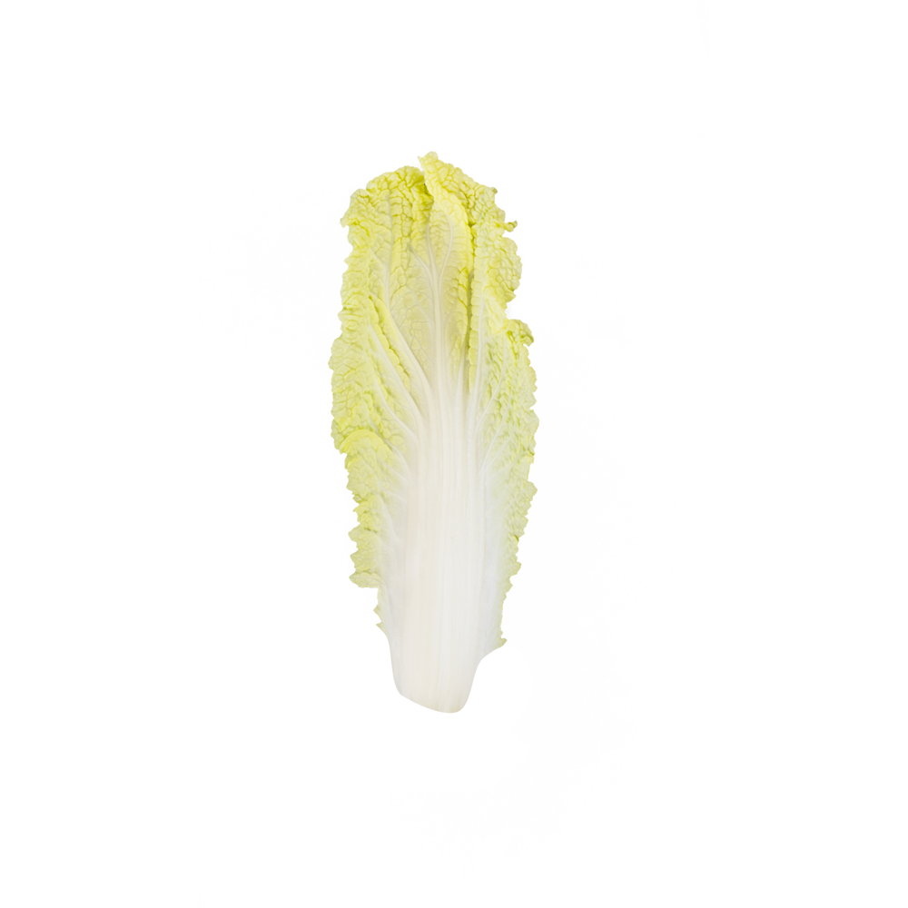 Chinese Cabbage  Transparent Gallery