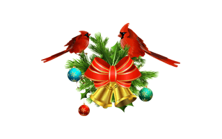 Christmas Bird PNG