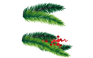 Christmas Branches PNG