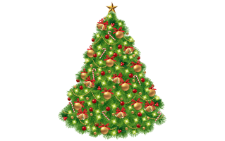 Christmas Fir Tree PNG